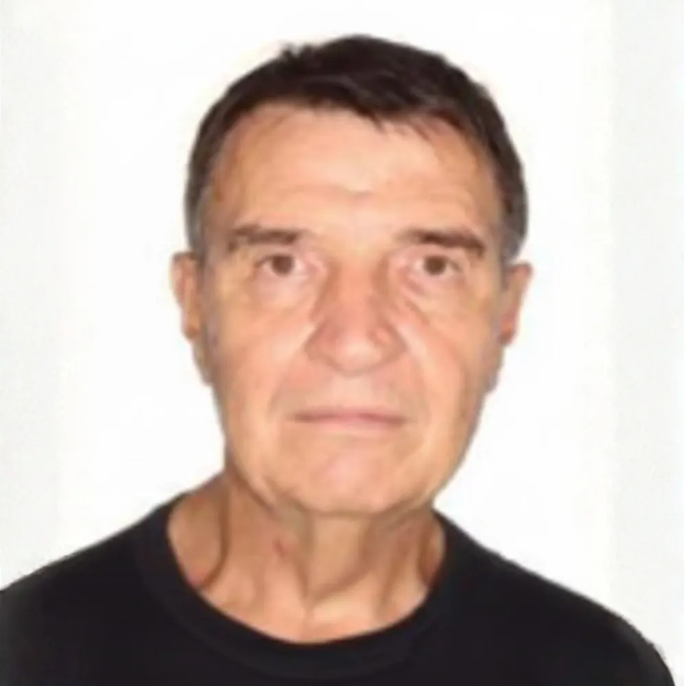 Diniz Tamantini Ribeiro